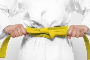 yellow-belt-exam.jpg